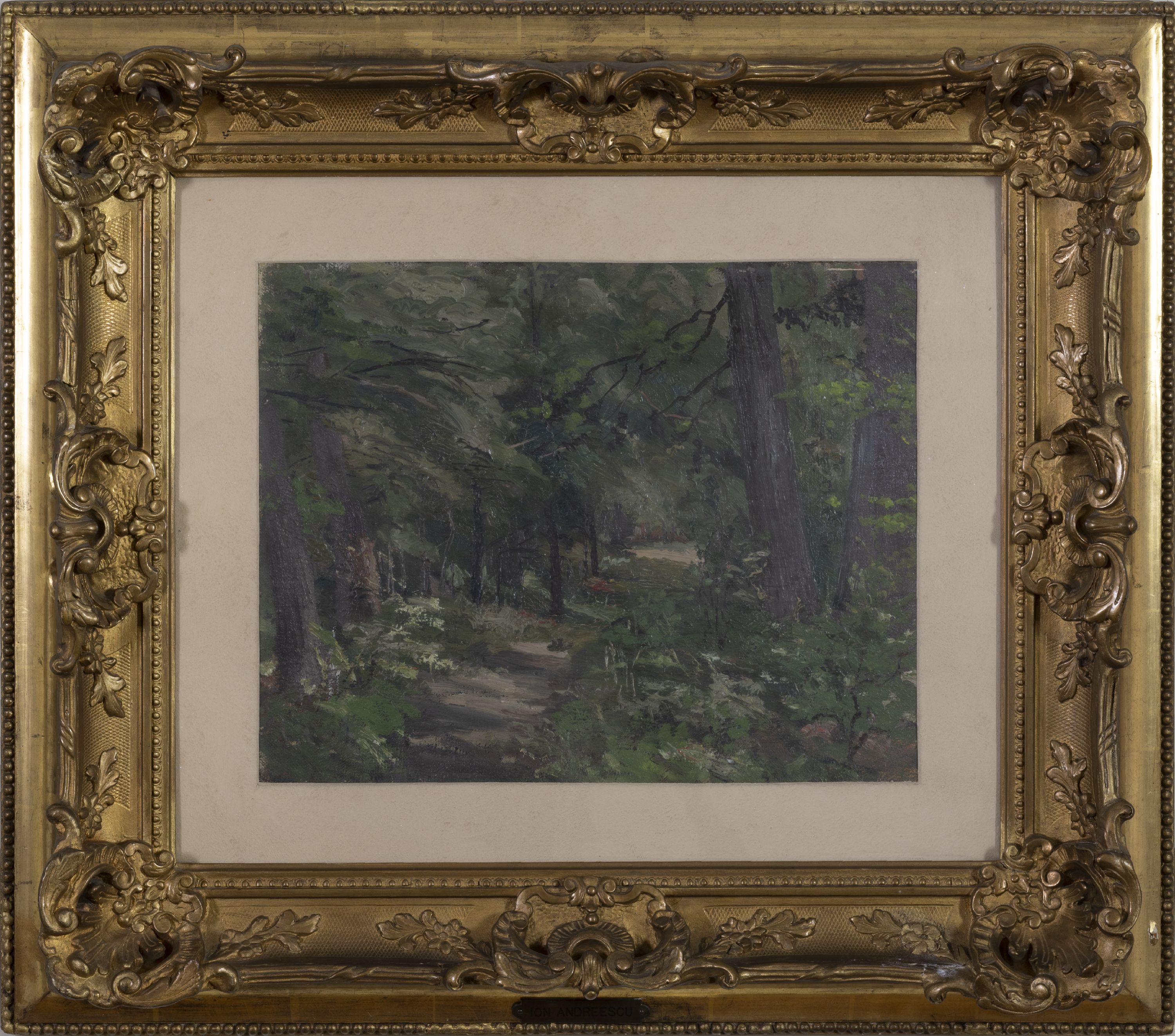 Path through the forest
