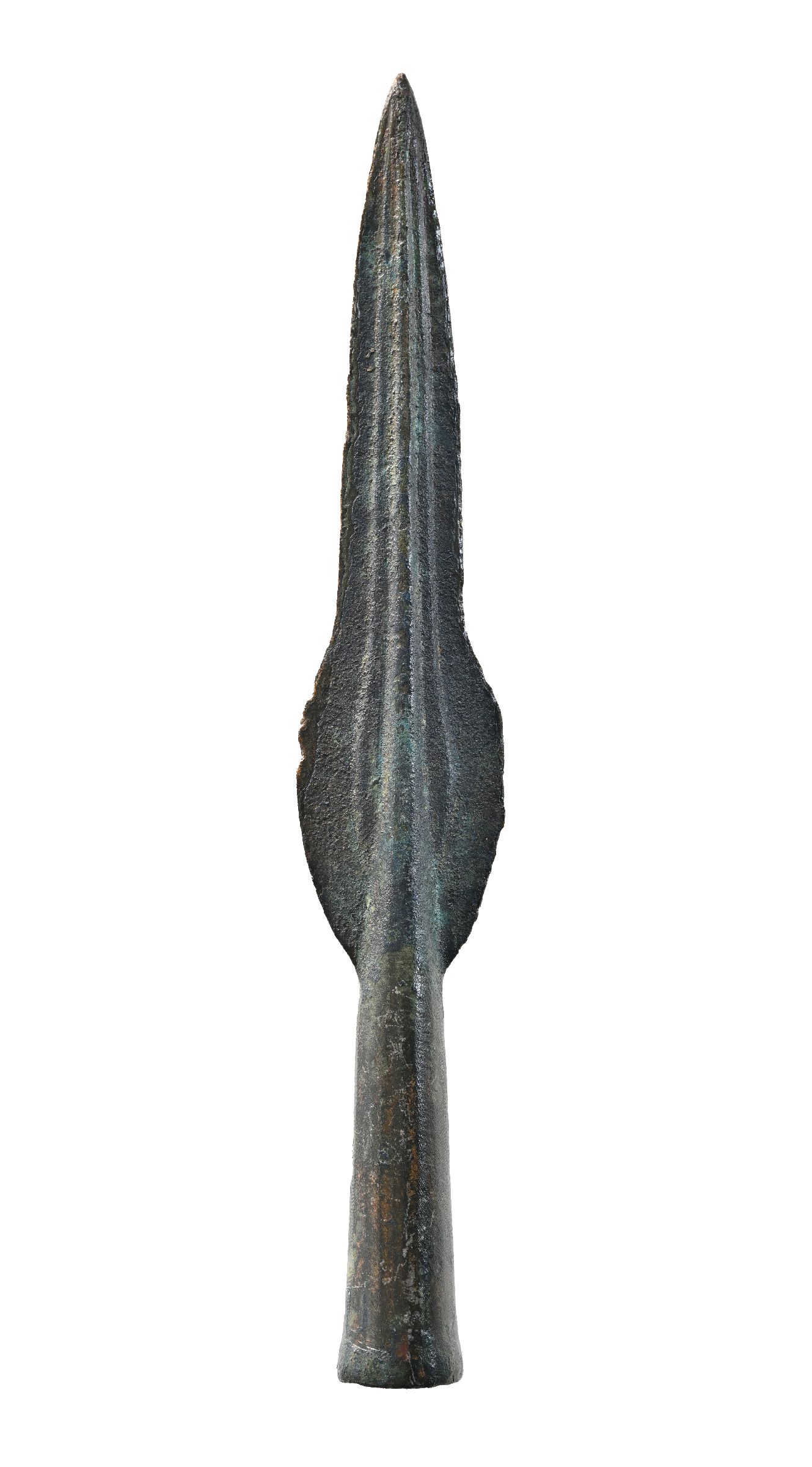 {title+en}