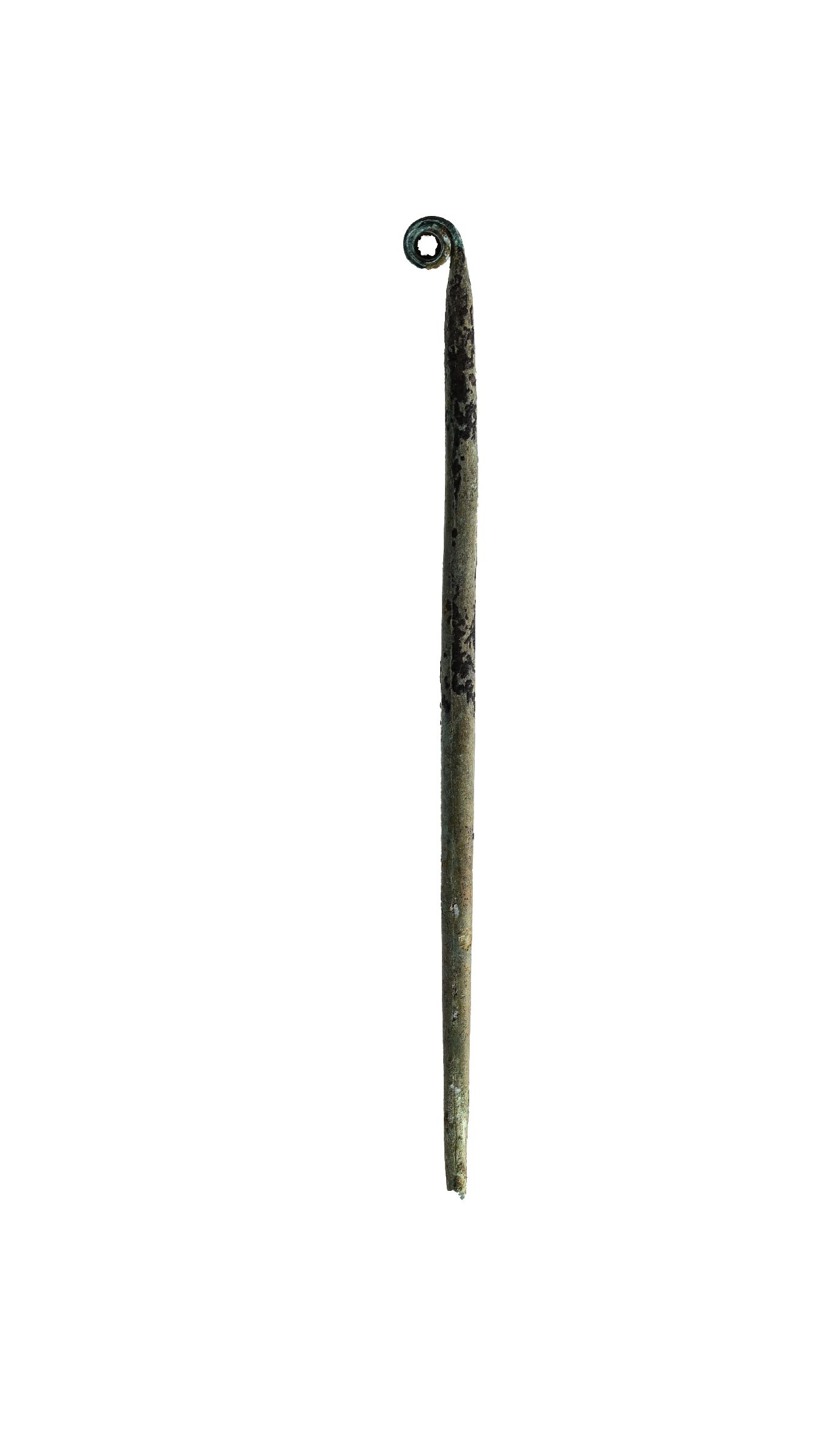 {title+en}