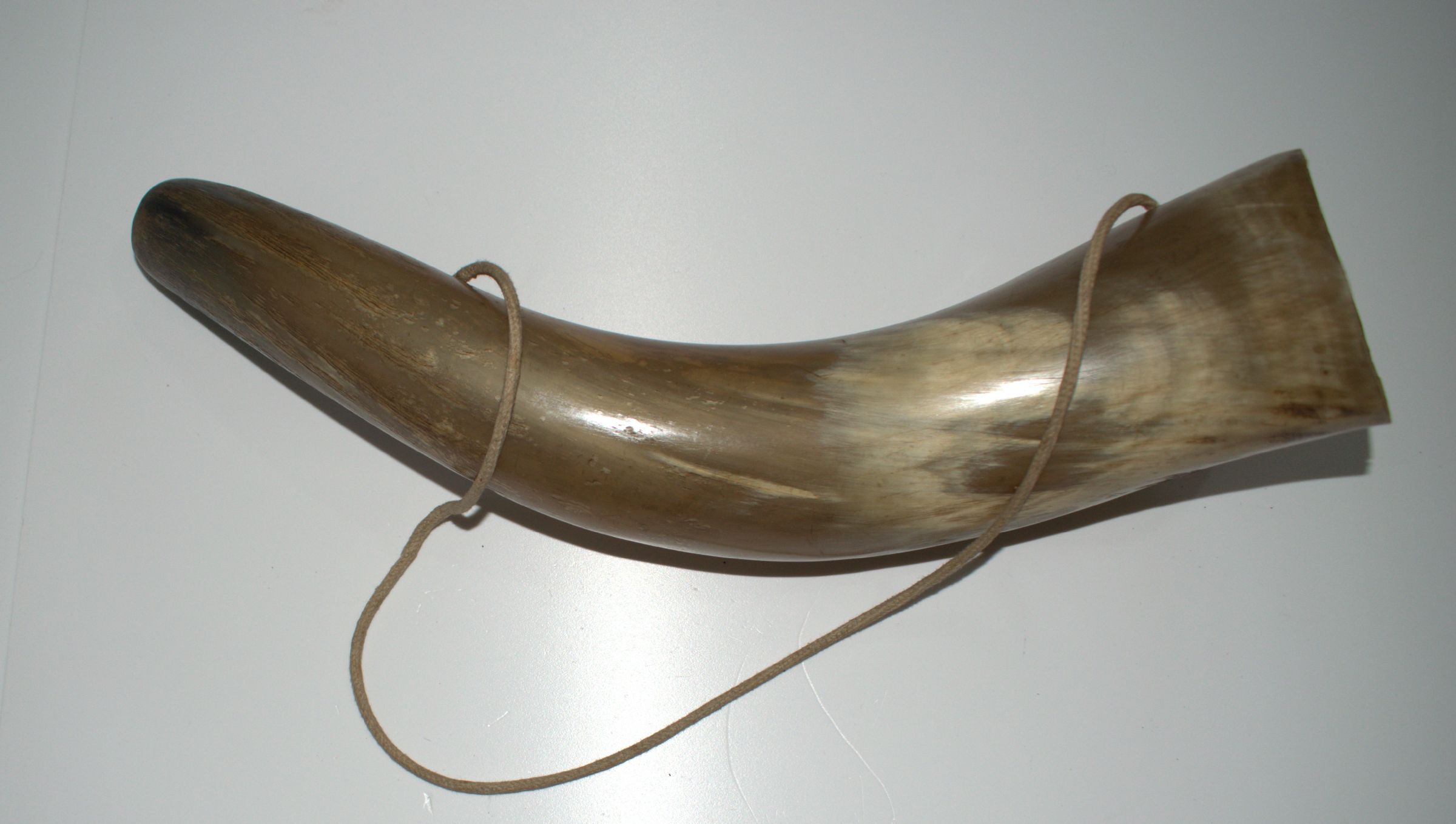 Hunting horn